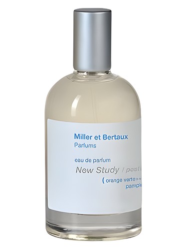 New Study (Postcard) Miller et Bertaux for women and men