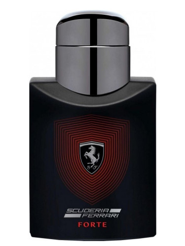 Romance for men Forever by Rasasi - 100 ml– FragranceAura