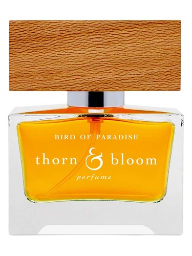 Bird of Paradise Thorn & Bloom