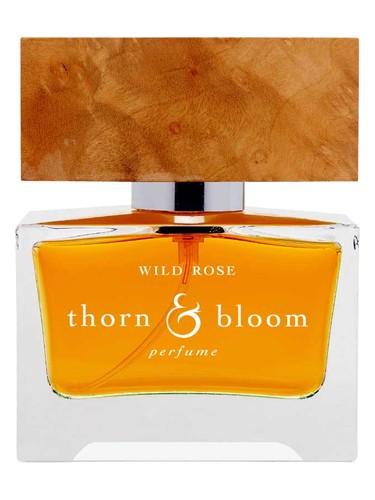 Wild Rose Thorn & Bloom