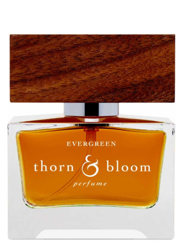 thorn and bloom perfume