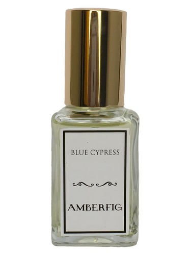 Amberfig Blue Cypress