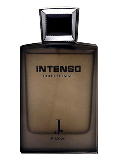 intenso cologne review
