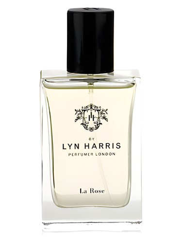 Marks Spencer Lyn Harris La Rose