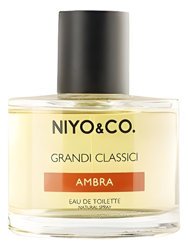 Ambra by Niyo & Co.
