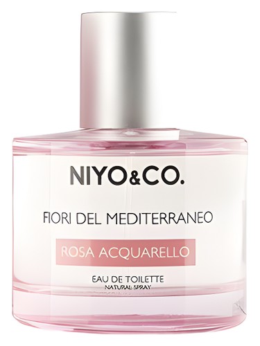 Rosa Acquarello by Niyo & Co.