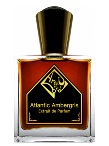 Ambergris fragrantica best sale