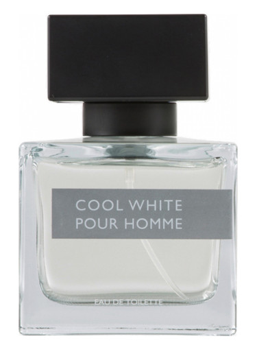 Homme cool. Pour homme White. Extreme Silver pour homme. Пур Пур Вайт духи. Cool Wave pour homme.