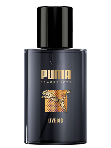Sky Psychologically Operation possible Live Big Puma cologne - a fragrance for men 2016