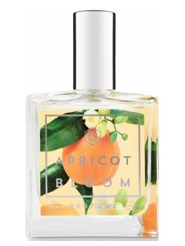 Apricot Bloom Good Chemistry perfume 