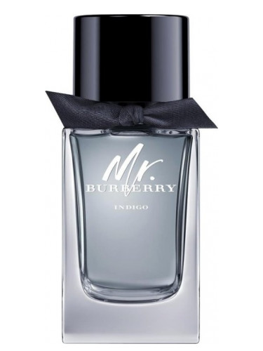 Actualizar 56+ imagen burberry indigo smell