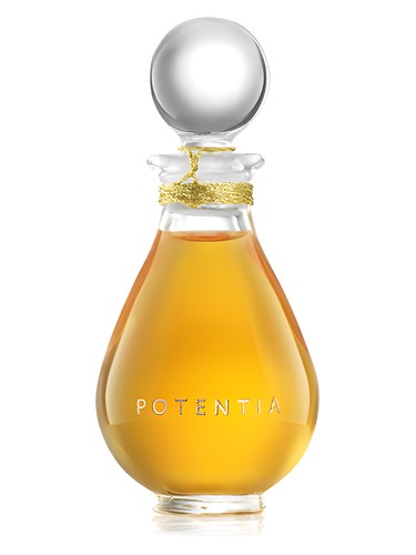 Amber God The House Of Potentia