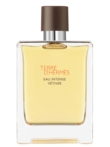 Terre D'Hermes Eau Intense Vetiver 