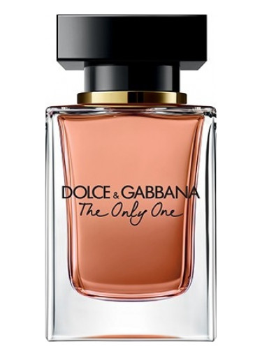 The Only One Dolce amp Gabbana perfume a fragrance for women