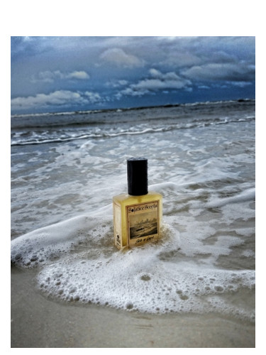  Hayward Enterprises Brand Perfume Oil Compatible to SUN MOON  STARS for women, Designer Inspired Impression, Fragrance Oil, Scented Oil  for Body, 1/3 oz. (10ml) Glass Roll-on Bottle : Beauty 