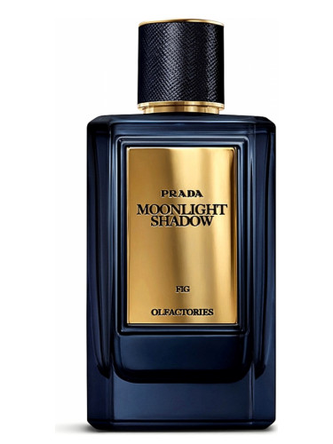 Verdampen passend Het pad Mirages Moonlight Shadow Prada perfume - a fragrance for women and men 2018