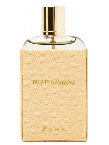 zara bushy gardens perfume