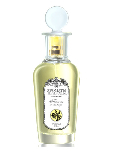 Тюльпан и мимоза - Tulip and Mimosa Brocard perfume - a fragrance for ...