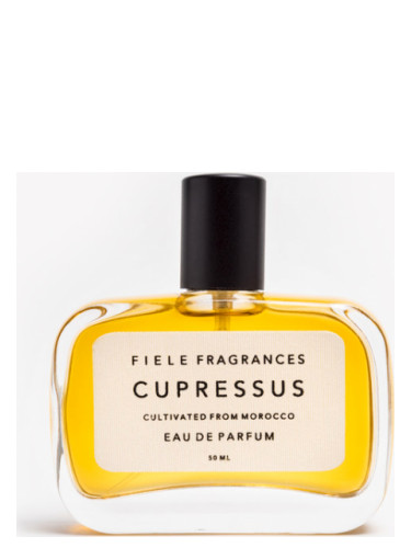 Cupressus Fiele Fragrances perfume - a fragrance for women and men