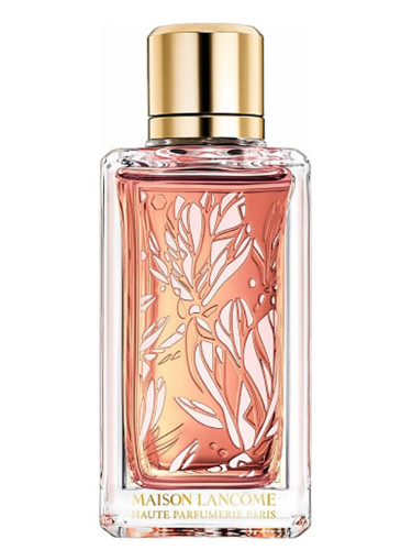 rose & magnolia cologne