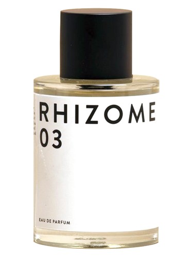 Rhizome 03 Rhizome