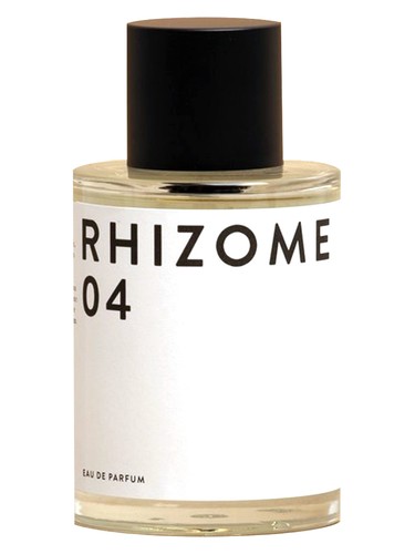 Rhizome 04 Rhizome for women and men