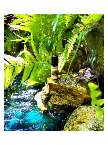 Devil's Millhopper by Solstice Scents