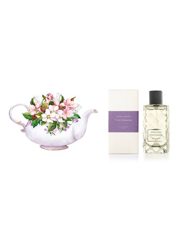 Cassis Jamming Water Stories for women and men