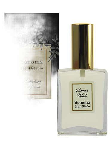 Sienna Musk Sonoma Scent Studio for women and men