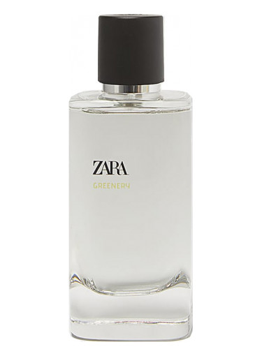 Greenery Zara cologne - a new fragrance 