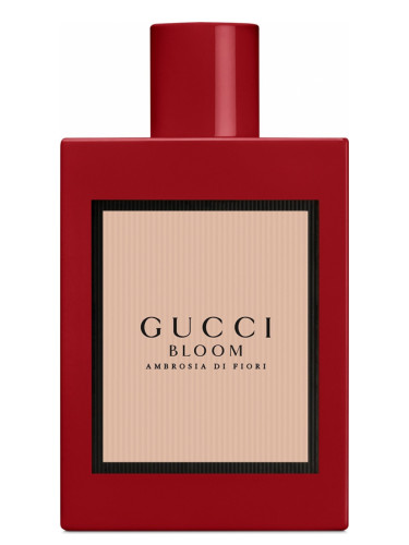 omhyggeligt øjenbryn tilstødende Gucci Bloom Ambrosia di Fiori Gucci perfume - a fragrance for women 2019