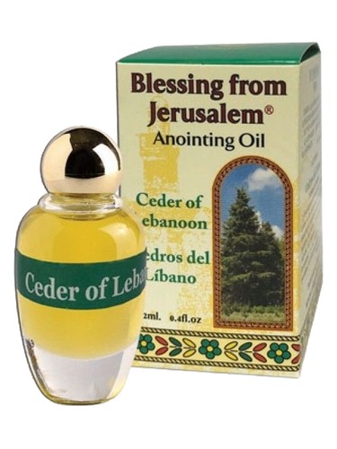 Ceder of Lebanoon Ein Gedi
