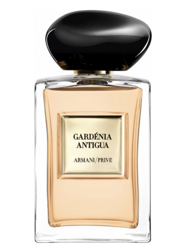12 Gardenia Perfumes That Aren't Your Everyday Florals