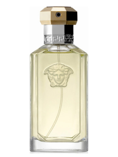 ZuidAmerika Vernauwd aanwijzing The Dreamer Versace cologne - a fragrance for men