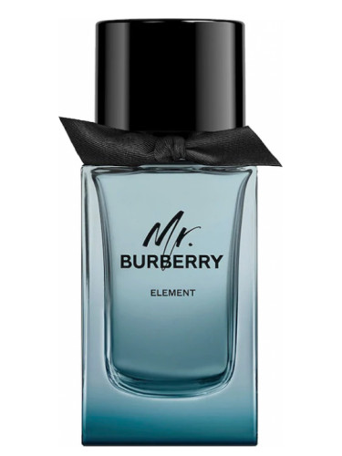 Kaptajn brie hver gang Sammenhængende Mr. Burberry Element Burberry cologne - a new fragrance for men 2020