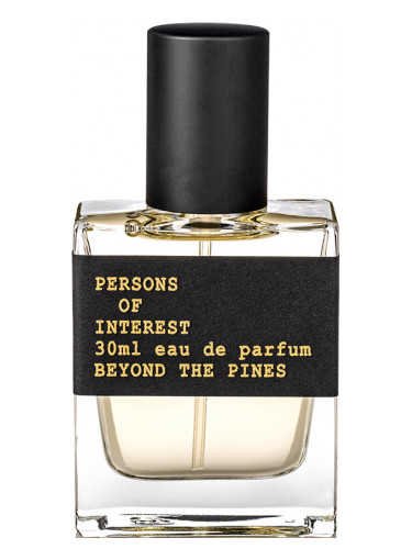 Beyond The Pines Persons Of Interests