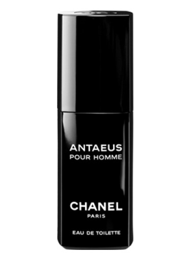 Antaeus Chanel cologne - a fragrance for men 1981