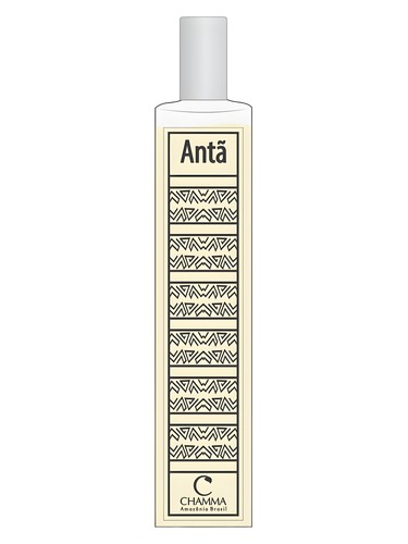Antã Chamma da Amazônia for men