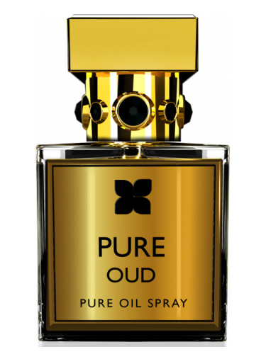 Pure Oud Wood - Eau de Parfum (100ml) by FA Paris-5160