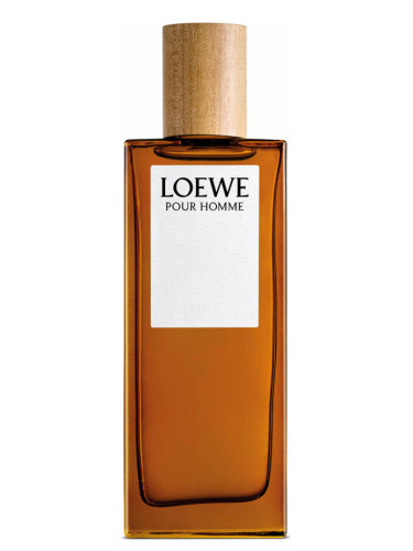 loewe men's fragrance