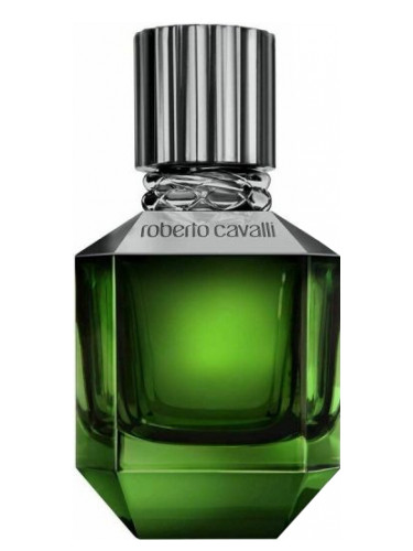 Paradise Found Men Roberto Cavalli cologne fragrance for 2020