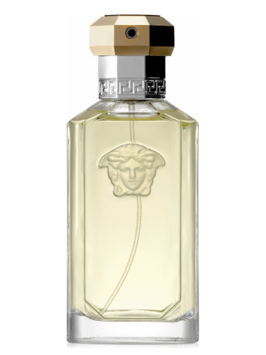 versace dreamer 200ml