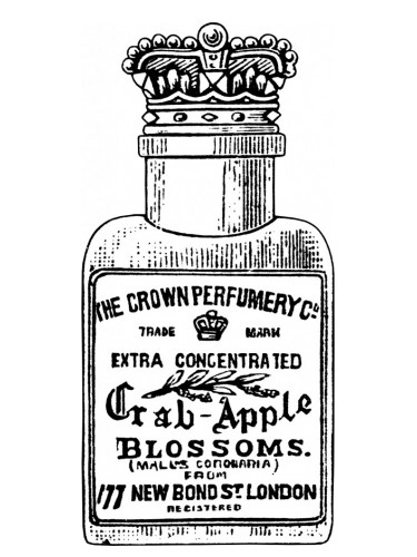 Crab apple blossom discount perfume