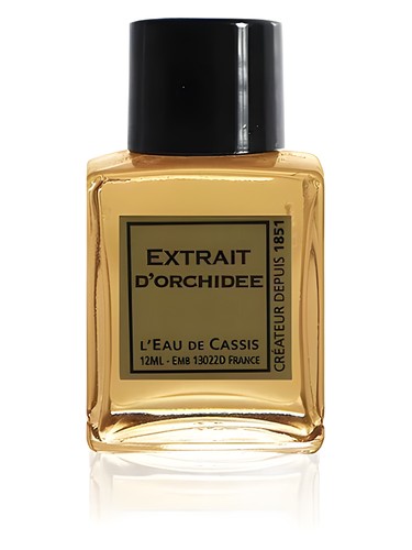 L Eau De Cassis Orchidee