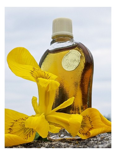 Golden iris – Золотой ирис Alye Parusa for women