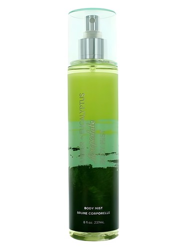 Amber Eucalyptus Aéropostale for women