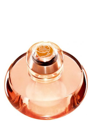 Volare Oriflame perfume a fragrance for women 2010