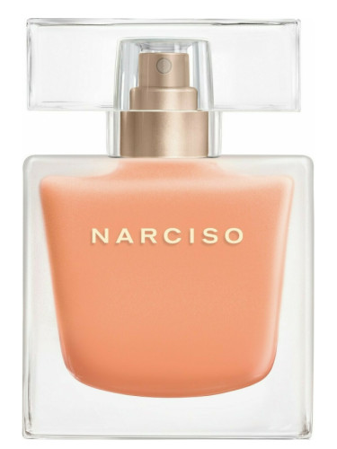 Nu gebrek Netto Narciso Eau Néroli Ambrée Narciso Rodriguez perfume - a new fragrance for  women 2021