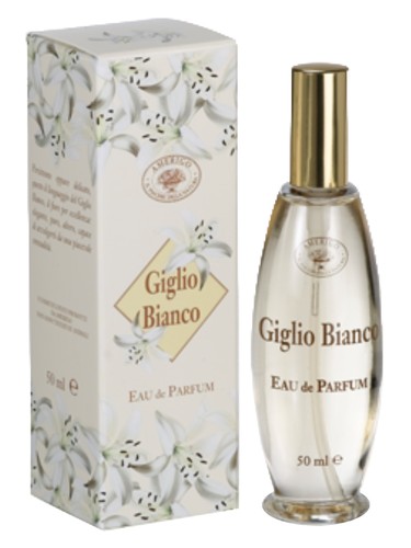 Giglio Bianco Amerigo for women