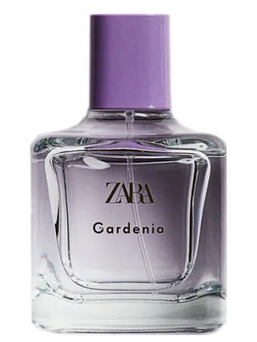 Gardenia Zara perfume - a fragrance for women 2021
